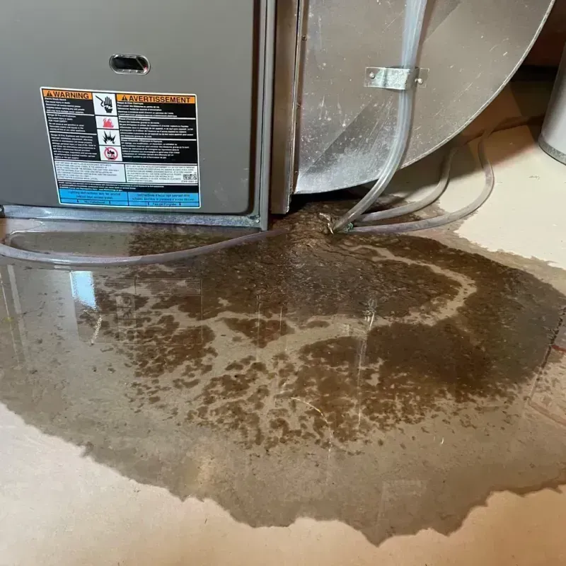 Appliance Leak Cleanup in Montrose, CO